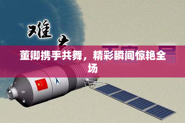 董卿携手共舞，精彩瞬间惊艳全场