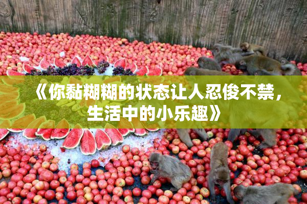 《你黏糊糊的状态让人忍俊不禁，生活中的小乐趣》