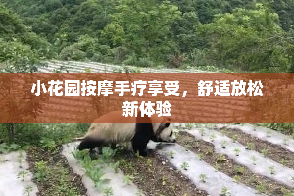 小花园按摩手疗享受，舒适放松新体验