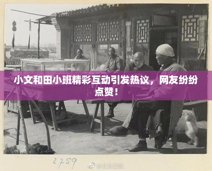 小文和田小班精彩互动引发热议，网友纷纷点赞！
