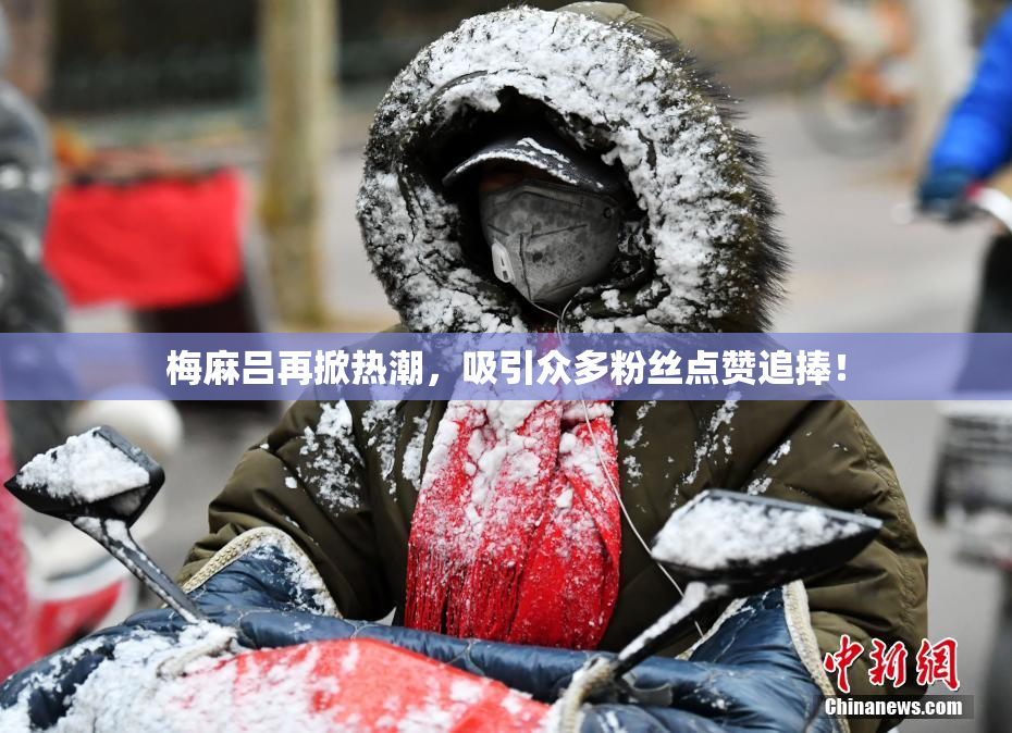 梅麻吕再掀热潮，吸引众多粉丝点赞追捧！