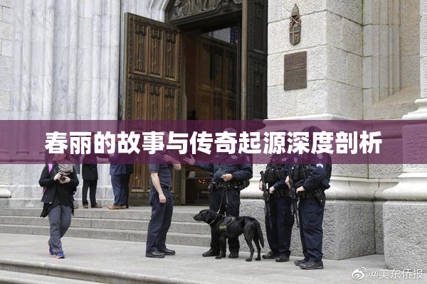 春丽的故事与传奇起源深度剖析