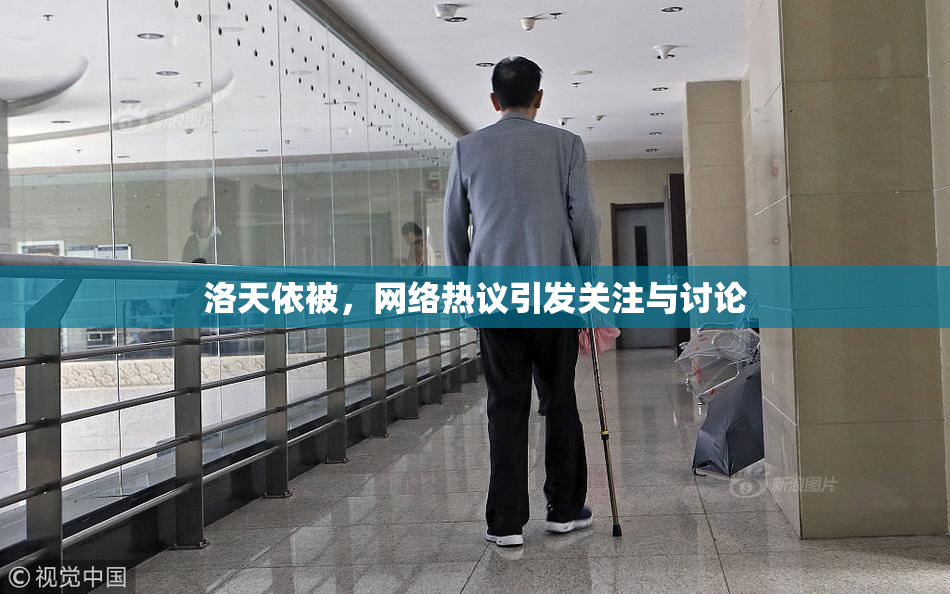 洛天依被，网络热议引发关注与讨论
