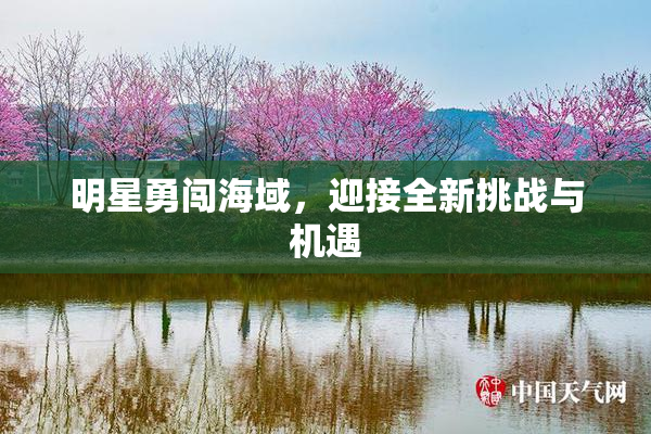 明星勇闯海域，迎接全新挑战与机遇
