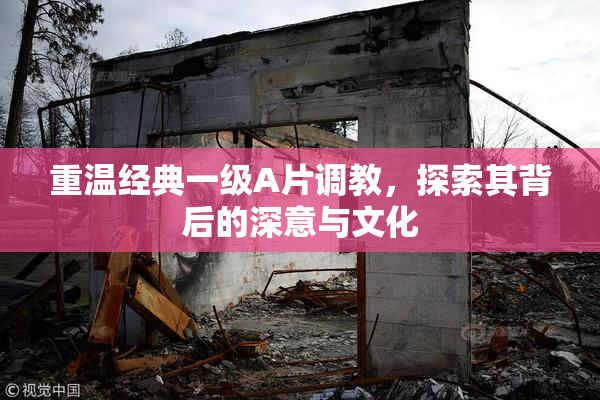 重温经典一级A片调教，探索其背后的深意与文化