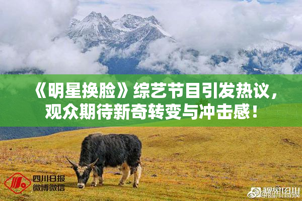 《明星换脸》综艺节目引发热议，观众期待新奇转变与冲击感！