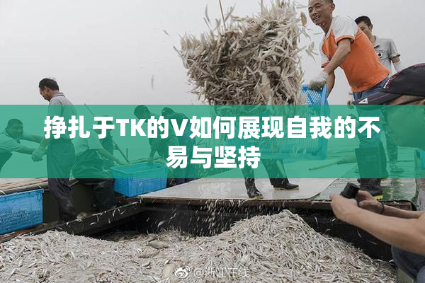 挣扎于TK的V如何展现自我的不易与坚持