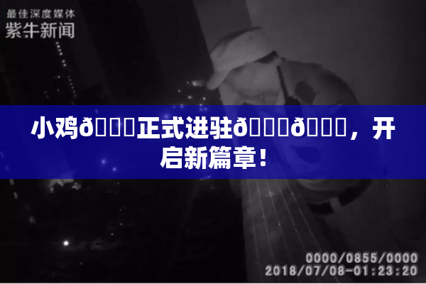 小鸡🐔正式进驻🍑🔞，开启新篇章！