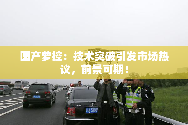 国产萝控：技术突破引发市场热议，前景可期！