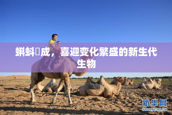 蝌蚪窉成，喜迎变化繁盛的新生代生物