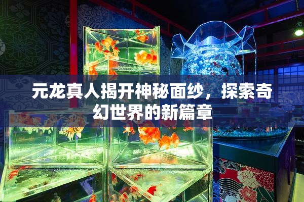 元龙真人揭开神秘面纱，探索奇幻世界的新篇章