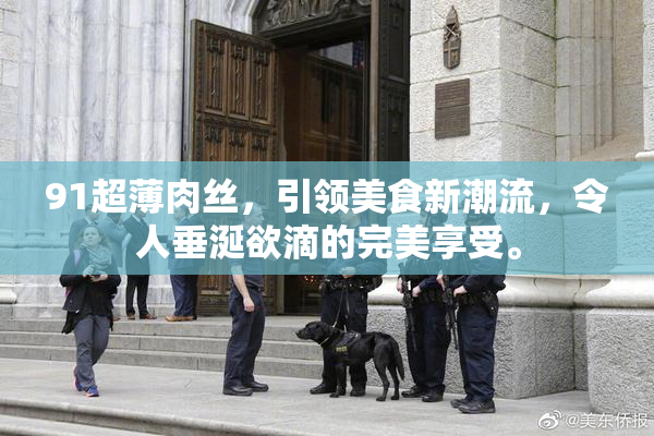 91超薄肉丝，引领美食新潮流，令人垂涎欲滴的完美享受。