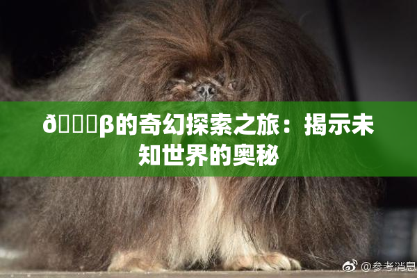 👙β的奇幻探索之旅：揭示未知世界的奥秘