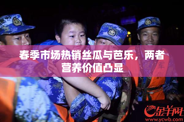 春季市场热销丝瓜与芭乐，两者营养价值凸显