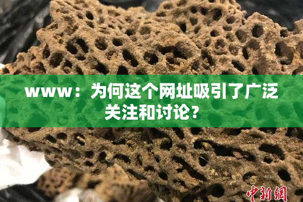 www：为何这个网址吸引了广泛关注和讨论？
