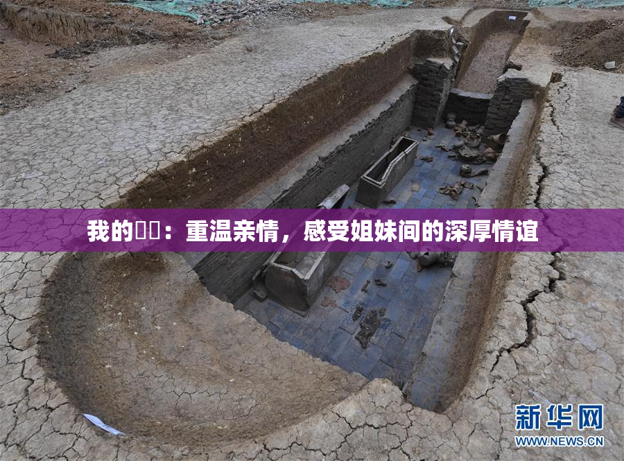 我的妺妺：重温亲情，感受姐妹间的深厚情谊