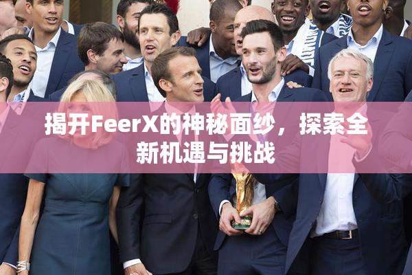 揭开FeerX的神秘面纱，探索全新机遇与挑战