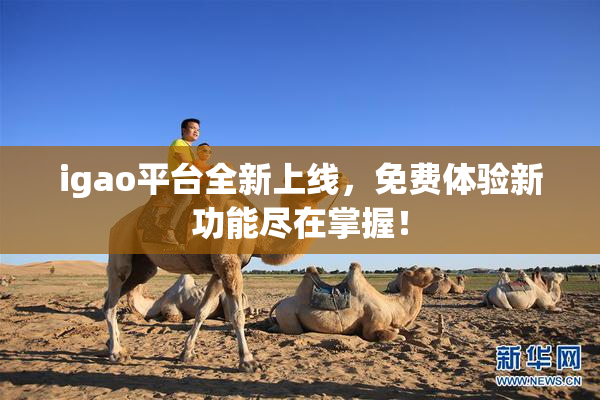 igao平台全新上线，免费体验新功能尽在掌握！