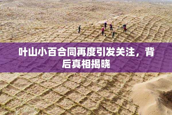 叶山小百合同再度引发关注，背后真相揭晓