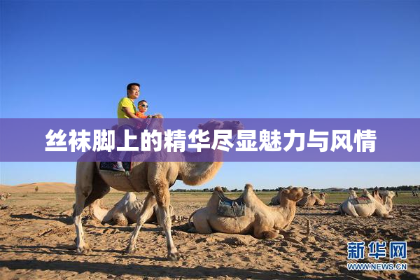 丝袜脚上的精华尽显魅力与风情