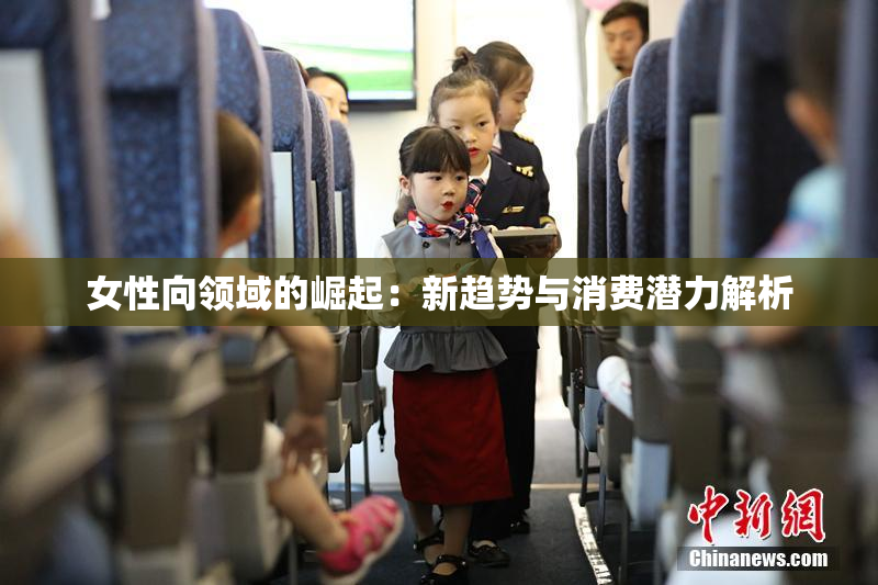 女性向领域的崛起：新趋势与消费潜力解析