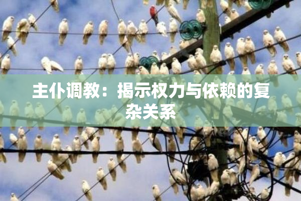 主仆调教：揭示权力与依赖的复杂关系