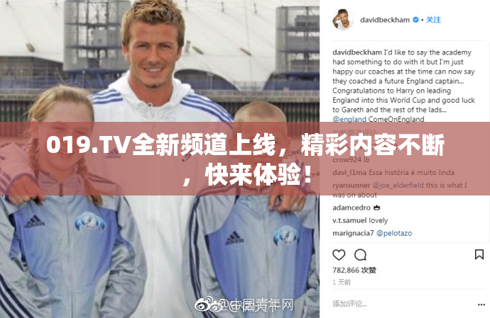 019.TV全新频道上线，精彩内容不断，快来体验！