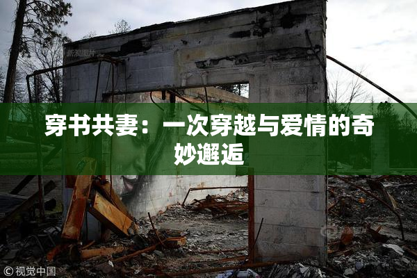 穿书共妻：一次穿越与爱情的奇妙邂逅