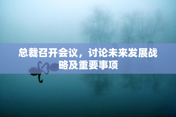 总裁召开会议，讨论未来发展战略及重要事项