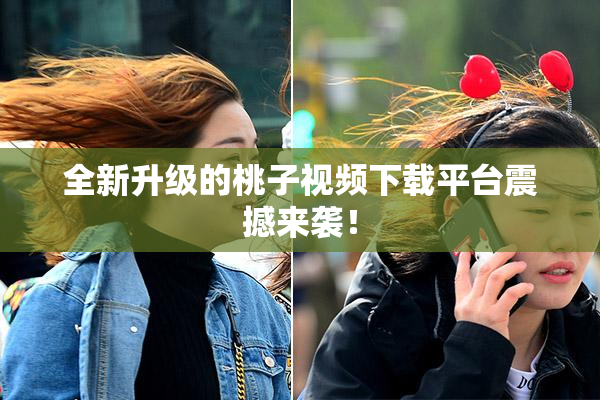全新升级的桃子视频下载平台震撼来袭！