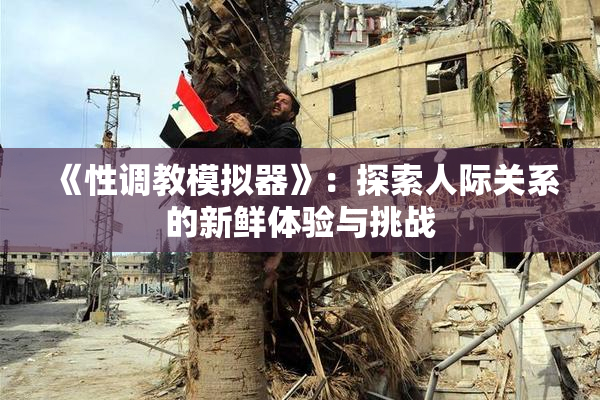 《性调教模拟器》：探索人际关系的新鲜体验与挑战