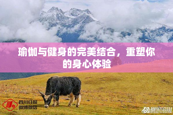 瑜伽与健身的完美结合，重塑你的身心体验