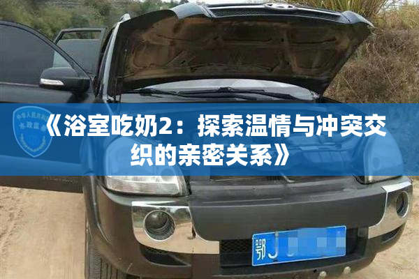 《浴室吃奶2：探索温情与冲突交织的亲密关系》