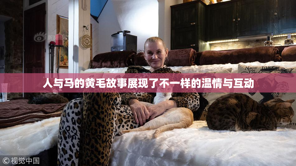 人与马的黄毛故事展现了不一样的温情与互动