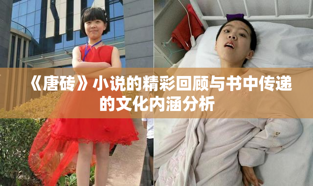 《唐砖》小说的精彩回顾与书中传递的文化内涵分析