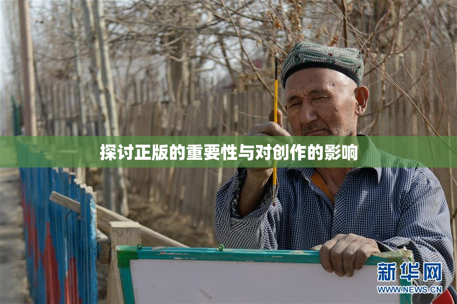 探讨正版的重要性与对创作的影响