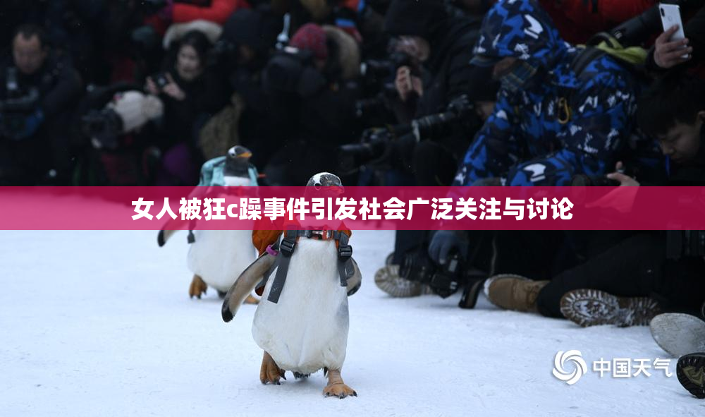 女人被狂c躁事件引发社会广泛关注与讨论