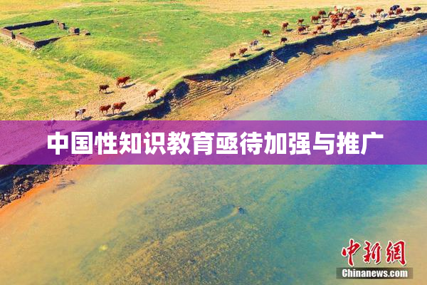 中国性知识教育亟待加强与推广