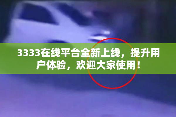 3333在线平台全新上线，提升用户体验，欢迎大家使用！