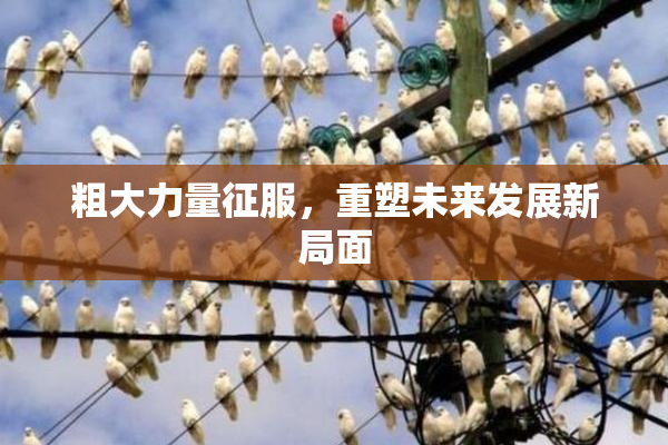 粗大力量征服，重塑未来发展新局面