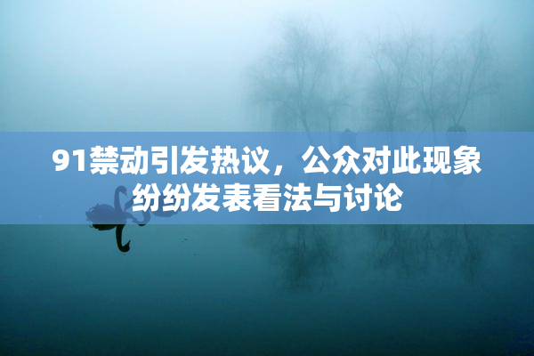 91禁动引发热议，公众对此现象纷纷发表看法与讨论