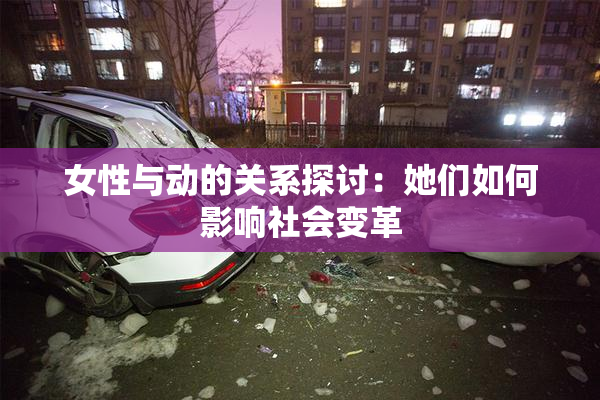 女性与动的关系探讨：她们如何影响社会变革