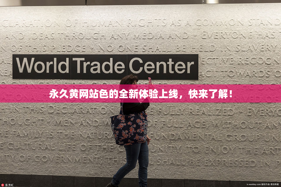 永久黄网站色的全新体验上线，快来了解！