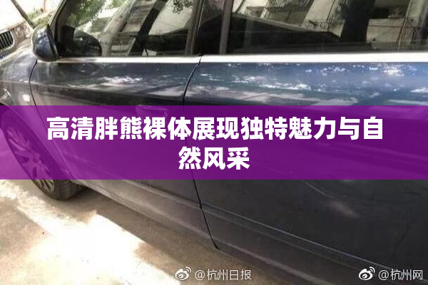 高清胖熊裸体展现独特魅力与自然风采