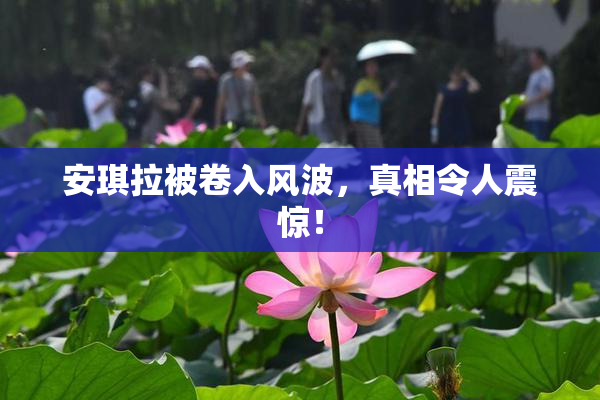 安琪拉被卷入风波，真相令人震惊！