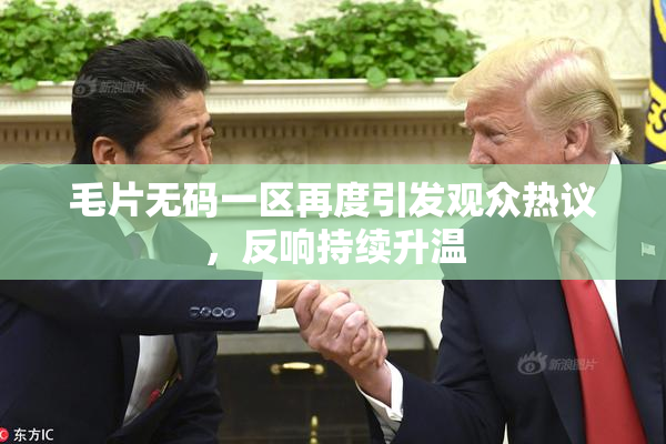 毛片无码一区再度引发观众热议，反响持续升温
