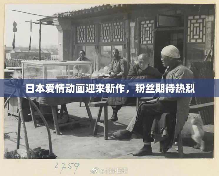 日本爱情动画迎来新作，粉丝期待热烈