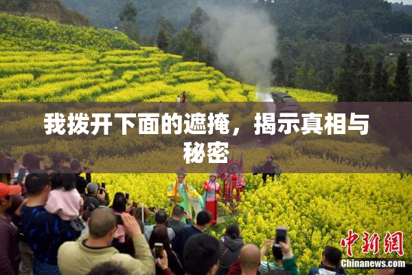 我拨开下面的遮掩，揭示真相与秘密