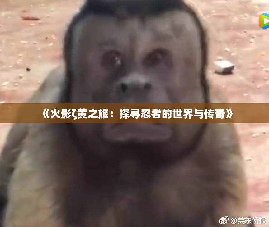 《火影ζ黄之旅：探寻忍者的世界与传奇》