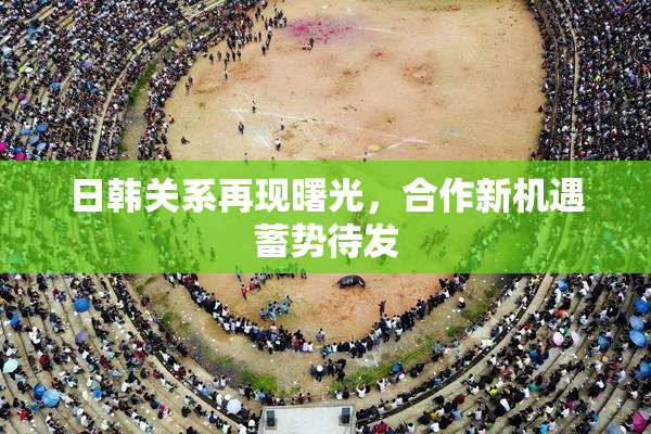 日韩关系再现曙光，合作新机遇蓄势待发